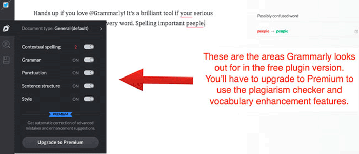 See Grammarly's Default Settings