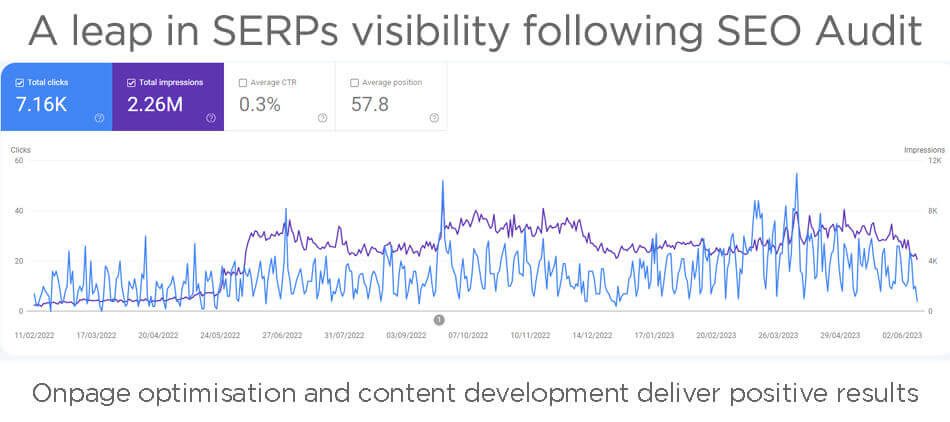 Leap in SERPs visibility following SEO audit