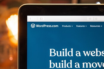 The WordPress CMS